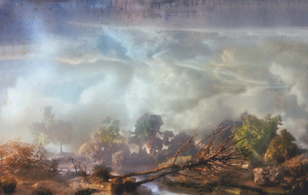 Divers - Newsom, Joanna