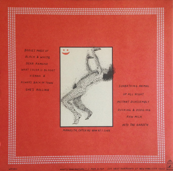 Sunbathing Animal - Parquet Courts