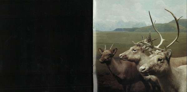 Our Love To Admire - Interpol