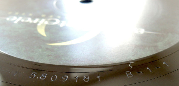 Thirteenth Step - A Perfect Circle