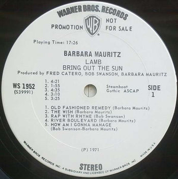 Bring Out The Sun - Barbara Mauritz