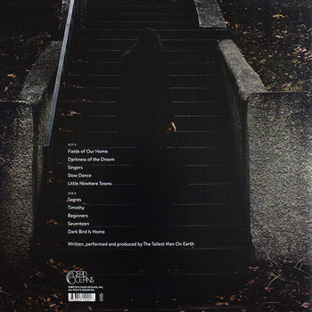 Dark Bird Is Home - Tallest Man On Earth