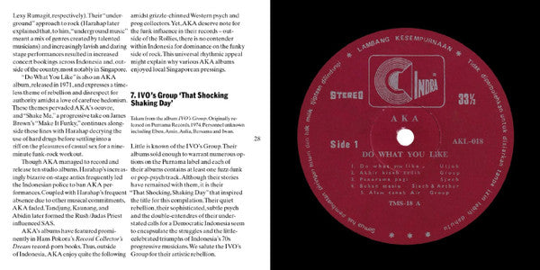 Those Shocking Shaking Days - Various Artists