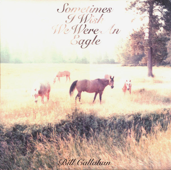 Sometimes I Wish We Were An Eagle - Callahan, Bill