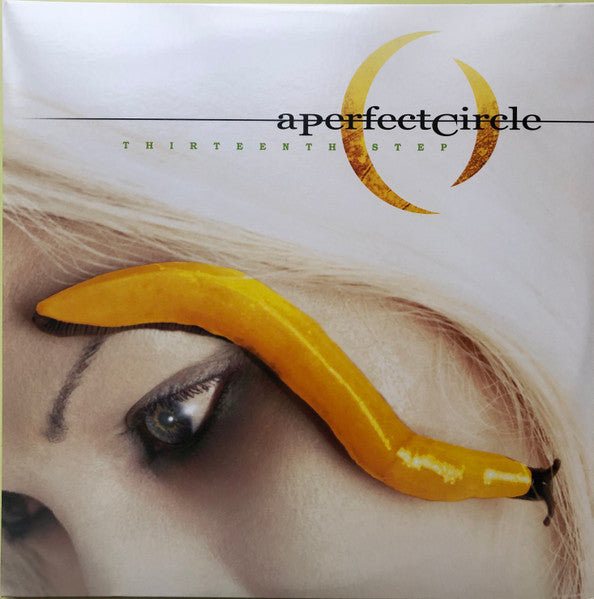 Thirteenth Step - A Perfect Circle