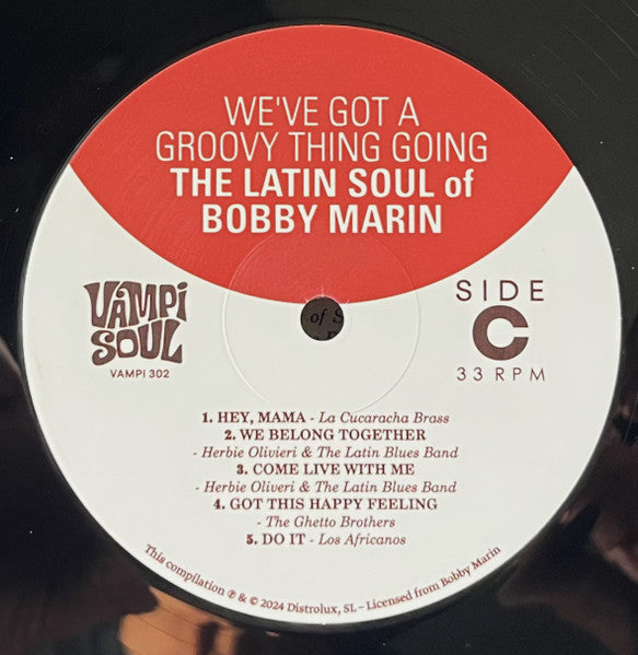 We've Got A Groovy Thing Going: The Latin Soul Of - Various
