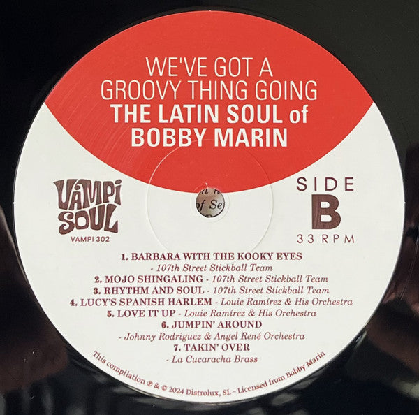 We've Got A Groovy Thing Going: The Latin Soul Of - Various