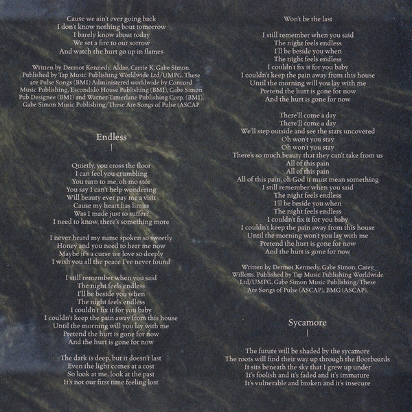The Weight of the Woods - Kennedy, Dermot