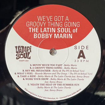 We've Got A Groovy Thing Going: The Latin Soul Of - Various
