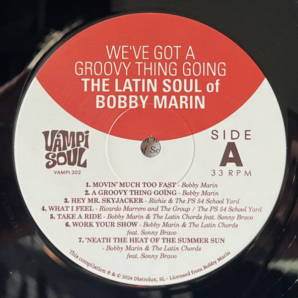 We've Got A Groovy Thing Going: The Latin Soul Of - Various