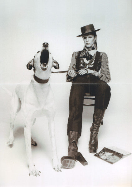 Diamond Dogs (50th Anniversary Picture Disc) - Bowie, David