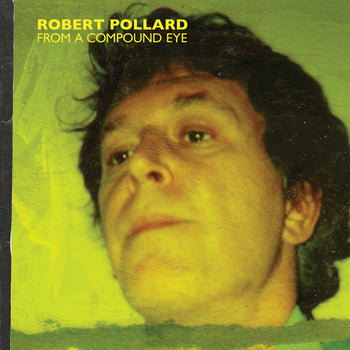 From A Compound Eye - Pollard, Robert