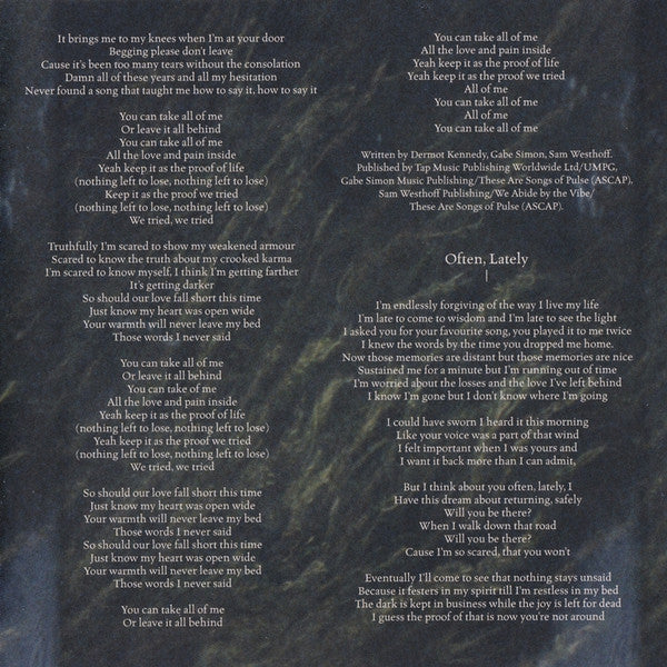 The Weight of the Woods - Kennedy, Dermot
