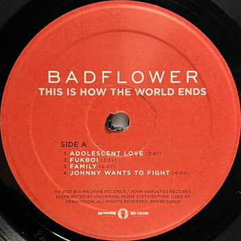 This Is How The World Ends - Badflower