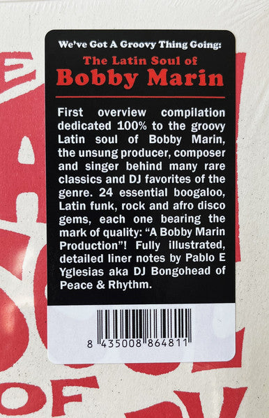We've Got A Groovy Thing Going: The Latin Soul Of - Various