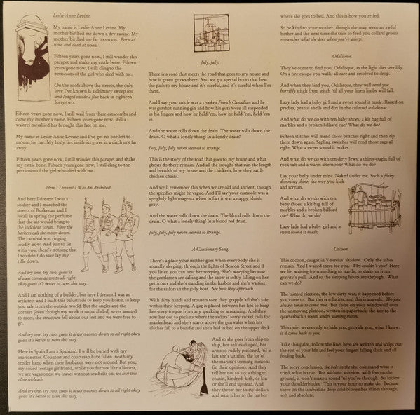 Castaways And Cutouts - Decemberists, The