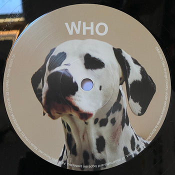 Who Cares? - Rex Orange County
