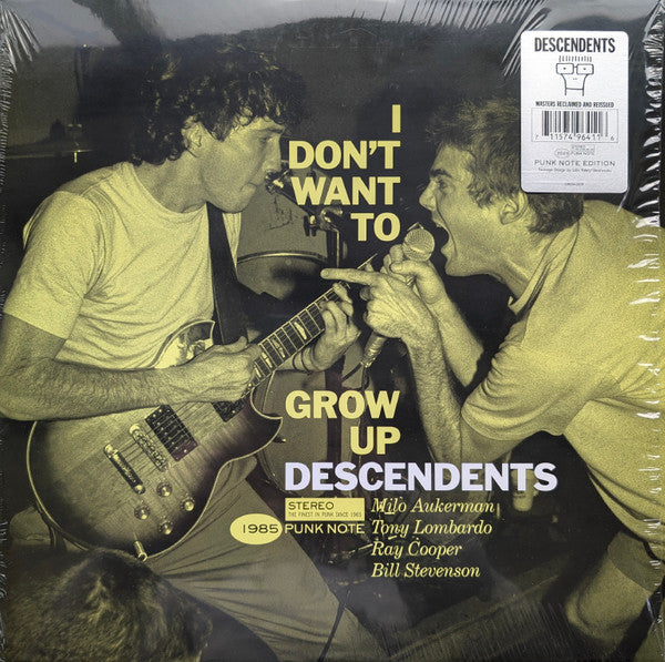 I Don't Want To Grow Up - Descendents