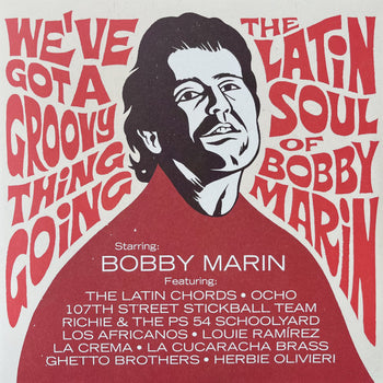 We've Got A Groovy Thing Going: The Latin Soul Of - Various