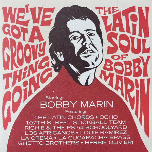 We've Got A Groovy Thing Going: The Latin Soul Of - Various
