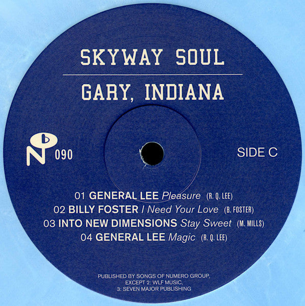 Skyway Soul: Gary, Indiana - Various