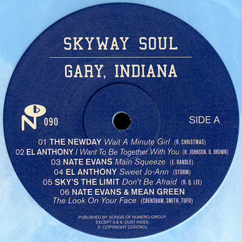 Skyway Soul: Gary, Indiana - Various