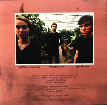 Look Now Look Again - Rainer Maria
