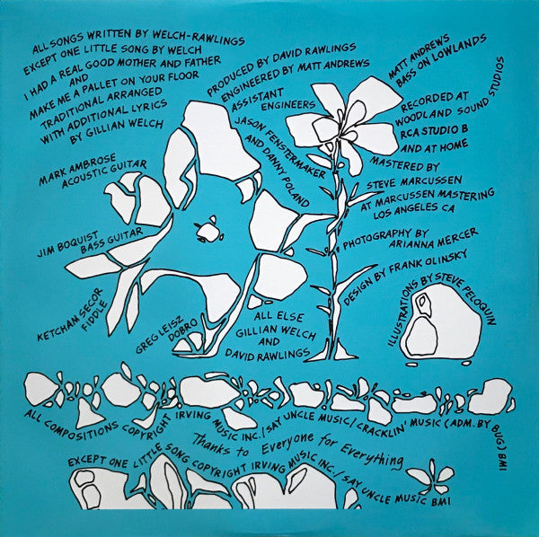 Soul Journey - Welch, Gillian