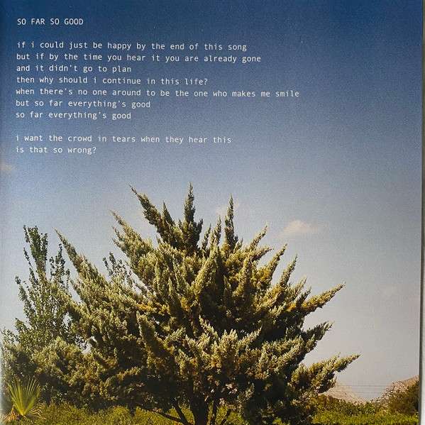 Apricot Princess - Rex Orange County