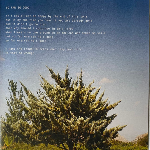 Apricot Princess - Rex Orange County