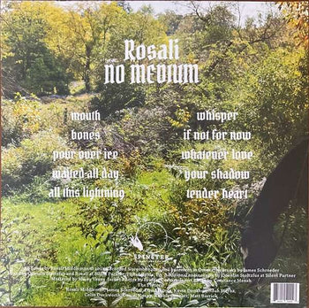 No Medium - Rosali