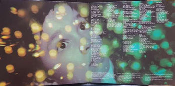 Fear Of A Blank Planet - Porcupine Tree [LP]