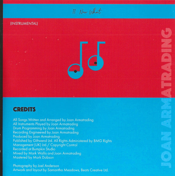 How Did This Happen And What Does It Now Mean - Armatrading, Joan