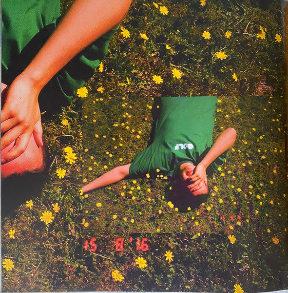 Apricot Princess - Rex Orange County