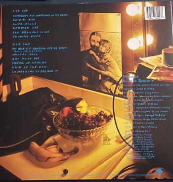 Animal Boy - Ramones