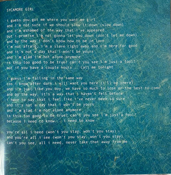 Apricot Princess - Rex Orange County