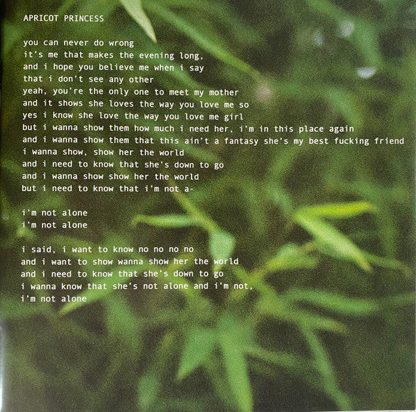 Apricot Princess - Rex Orange County