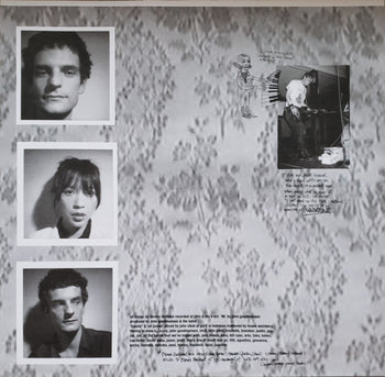 Fake Can Be Just As Good - Blonde Redhead