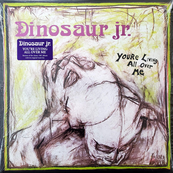 You'Re Living All Over Me - Dinosaur Jr.
