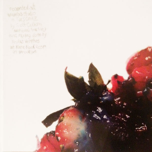 Strawberry Jam - Animal Collective