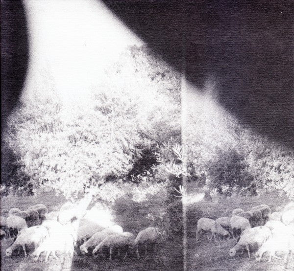 Asunder, Sweet And Other Distress - Godspeed You Black Emperor