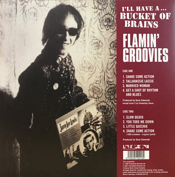 Bucket Of Brains - Flamin' Groovies, The