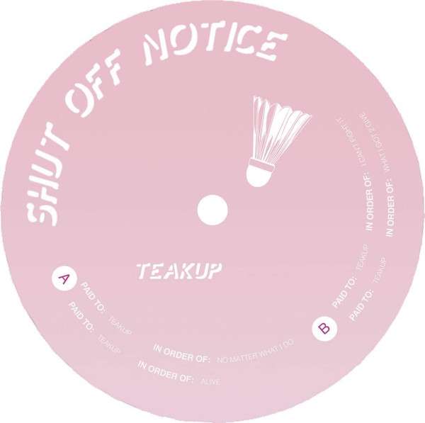 No Matter What I Do - Teakup
