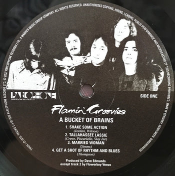 Bucket Of Brains - Flamin' Groovies, The