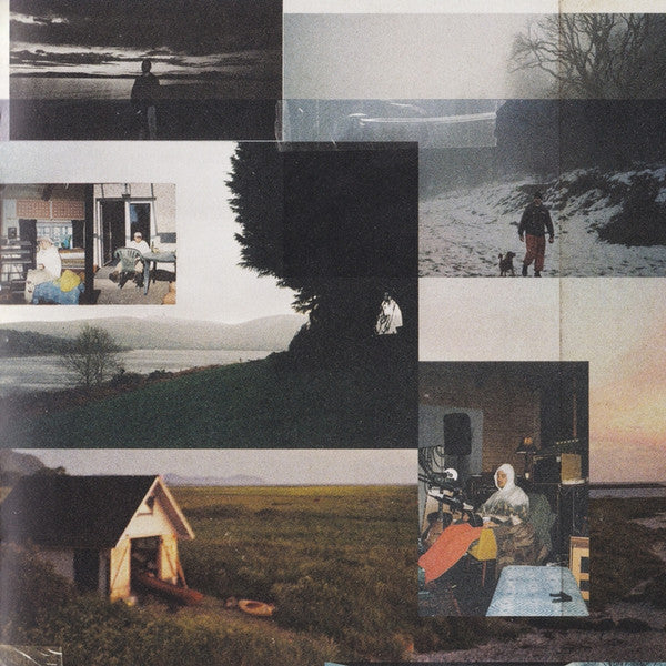 The Weight of the Woods - Kennedy, Dermot