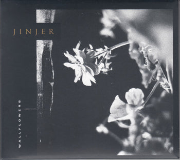 Wallflowers - Jinjer