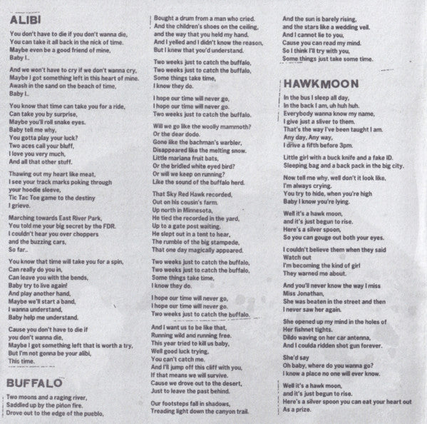 The Past Is Still Alive - Hurray for the Riff Raff