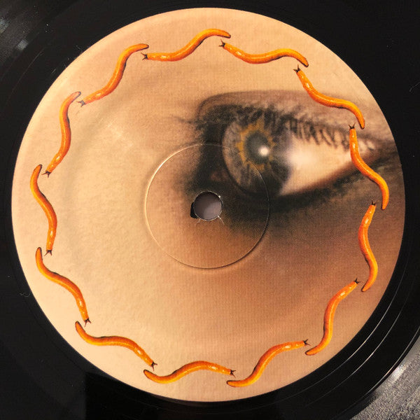 Thirteenth Step - A Perfect Circle