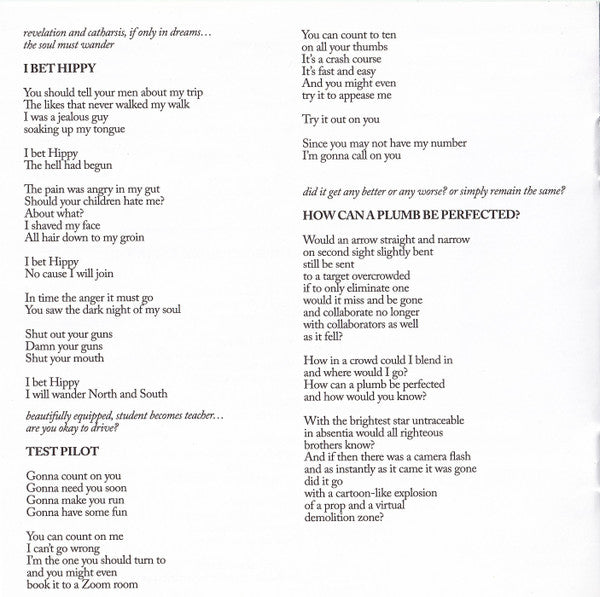 Earth Man Blues - Guided By Voices