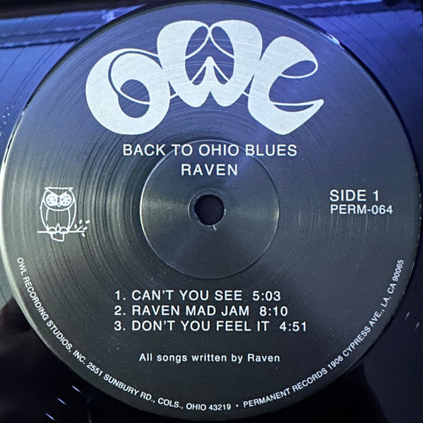 Back To Ohio Blues - Raven
